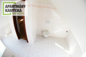 byt_podkrovi_kamycka_007